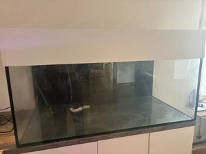 Meerwasser Aquarium 400 L
