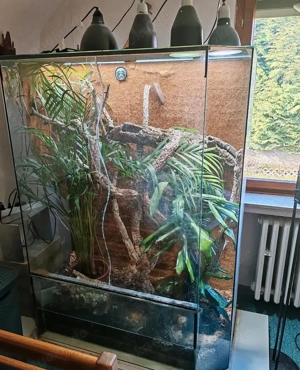 Terrarium mit oder ohne Technik und Deko