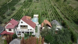 Haus mit Nebenhäusern, Pool und Weinberg in Vinica   Slowakei
