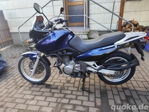 Motorrad Suzuki XF 650 Freewind 