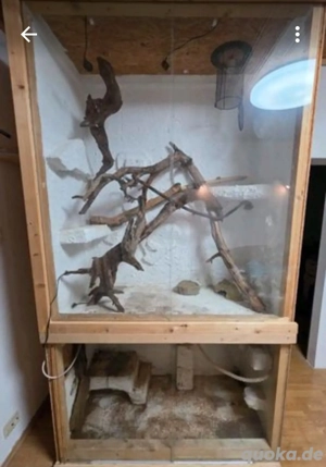 Terrarium XXL
