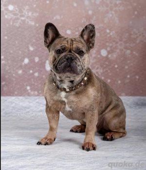 Romeo sucht seine Julia