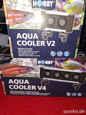 Aqua Cooler