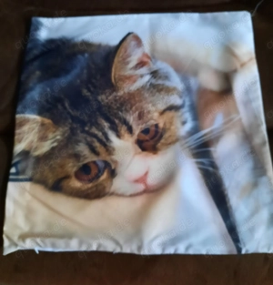 Kissenbezüge  Katzen Motiv
