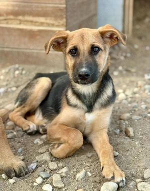 Darina braucht ruhige Menschen mit Verständnis