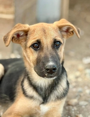 Darina sucht Menschen mit Herz und Verstand 