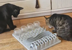 Dicke Freunde Gerry und Nero (ALM)