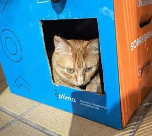 zauberhafte Lulu (ALM) Bild 3