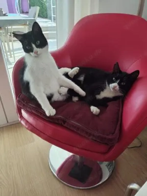 Arturo und Felix (OLC)