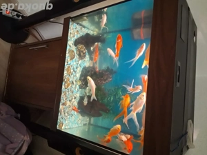 aquarioum mit lutftfliter ohne fische 