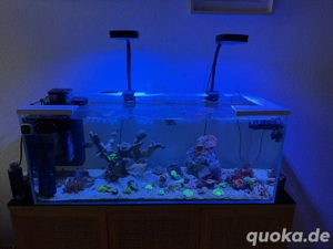 Weissglas Aquarium Neuwertig 