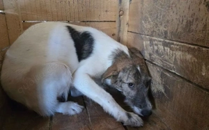 Mathilde: ängstliche Seele sucht ihr Glück