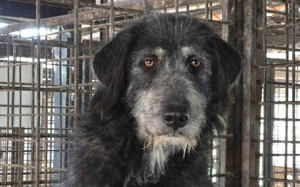 Gib Betty eine zweite Chance: Ihr Herz braucht Zeit zum Öffnen