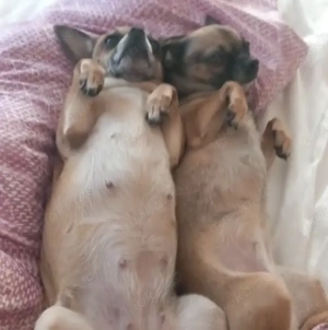 Duo (2 Mädels suchen dich)