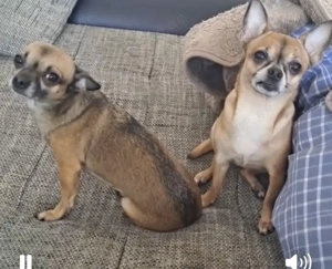 Duo (2 Mädels suchen dich)