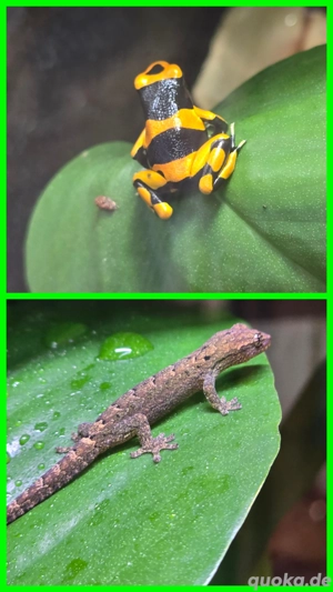 Übergabe in Bad Fallingbostel am 30.11