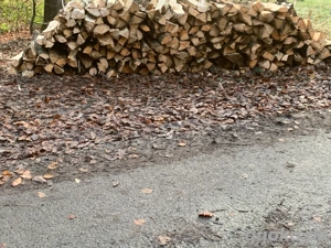 Buchenbrennholz 