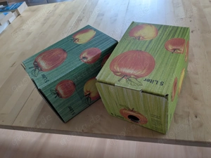 Bag in Box Karton 5 Liter für Säfte 20 Stück