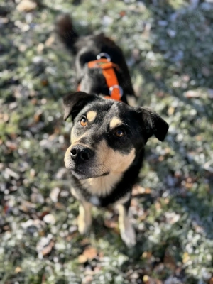 Toller Shane wartet in München auf Besuch!