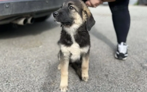 Luana ist bereit, die Welt zu erobern