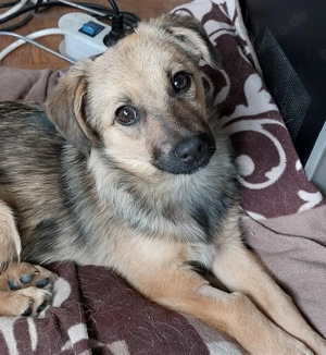 Süße Lale wartet in 91278 Pottenstein auf netten Besuch!