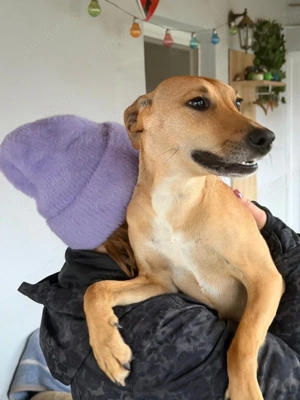 Pedro, PS in Ungarn, ist neugierig auf das Leben 