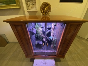 Ein exklusives, technisch modernes und optisch außergewöhnliches Designer-Terrarium