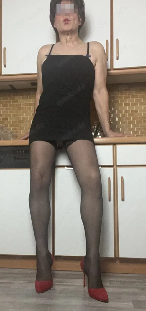 Hallo, ich bin Barbara eine devote DWT- bzw. Crossdresser-Stute! Bild 6