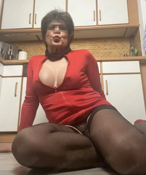 Hallo, ich bin Barbara eine devote DWT- bzw. Crossdresser-Stute! Bild 4
