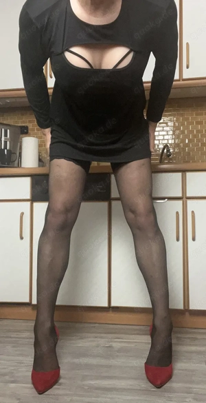 Hallo, ich bin Barbara eine devote DWT- bzw. Crossdresser-Stute! Bild 7