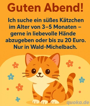 Suche nach einem Kätzchen