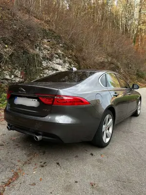 Jaguar XF Bild 4