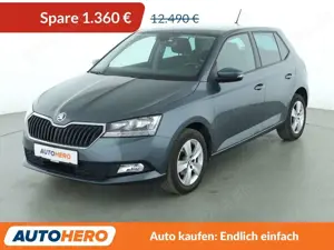 Skoda Fabia 1.0 MPI Clever*TEMPO*PDC*SHZ*ALU*KLIMA*