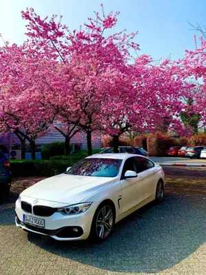BMW 420 420d Gran Coupe Sport-Aut. Sport Line