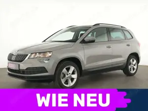 Skoda Karoq Ambition Einparkhilfe|Navi|AppleCarPlay