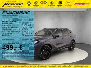 CUPRA Terramar 2.0 TSI DSG 4Drive, EDGE Paket, Standh.