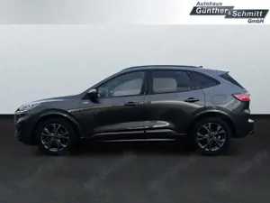 Ford Kuga 2.0 EcoBlue ST-Line X Start/Stopp AHK Bild 3