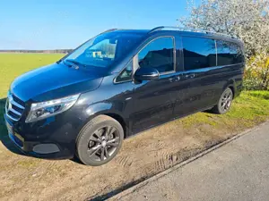 Mercedes-Benz V 250 V250 AVANTGARDE 4-MATIC extralang LED Standheizg