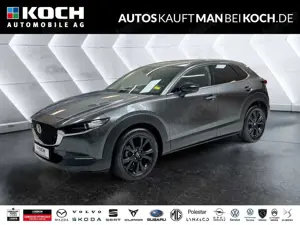 Mazda CX-30 KEYLESS 18° LED KAM ACC DAB