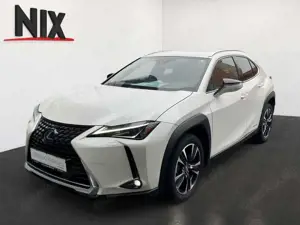 Lexus UX 250h Style Edition KAMERA EPH