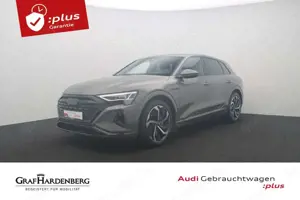 Audi Q8 50 e-tron quattro S line LED Navi ACC
