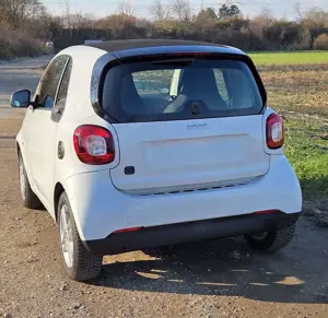 smart forTwo Coupe EQ Top gepflegt, das perfekte Stadtauto Bild 2
