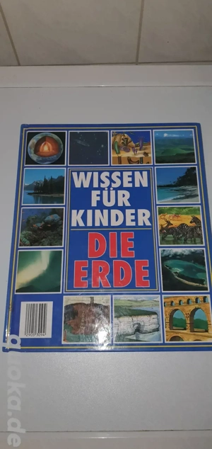 Wissen für Kinder - Die Erde und Das große Illustrierte Buch der Katzen
