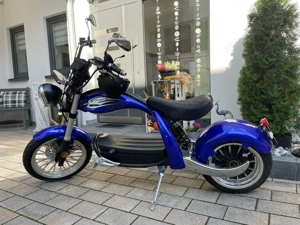 E-chopper Modell QR-X 5