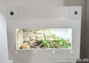 buddys.snakes Kunststoff Terrarium 100x55x55(73) cm (neu)