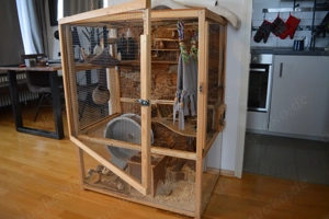 Komplettset   großes Degugehege mit Zubehör & zwei Degus (Hobbyzucht, 320   VB)