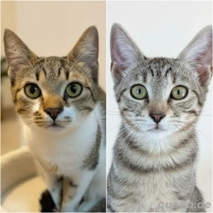 Michelle und Sonja suchen ein Zuhause und eine liebevolle Familie