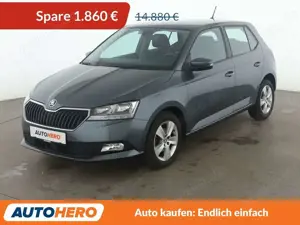 Skoda Fabia 1.0 TSI Style*LIMITER*CAM*PDC*SHZ*KLIMA*