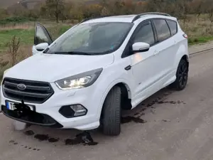 Ford Kuga 2.0 TDCi 4x4 Aut. ST-Line NEUER MOTOR Bild 3