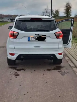 Ford Kuga 2.0 TDCi 4x4 Aut. ST-Line NEUER MOTOR Bild 2
